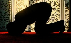 islam_moderato